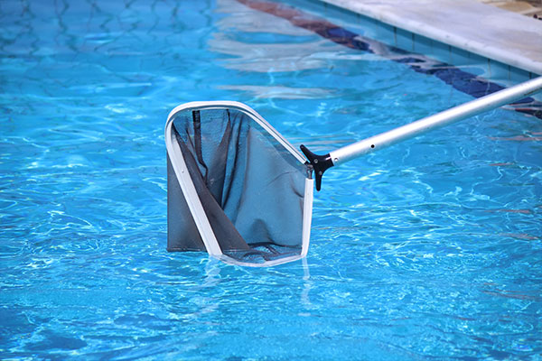 Pool skimmer to collect bugs